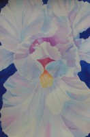 /album/mary-kosary/mary-kosary-iris-intrigue-jpg1/